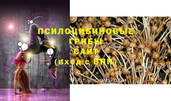 кокс Алексин