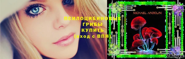 кокс Алексин