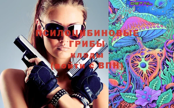 ПСИЛОЦИБИНОВЫЕ ГРИБЫ Алексеевка