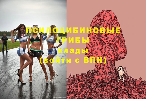 кокс Алексин